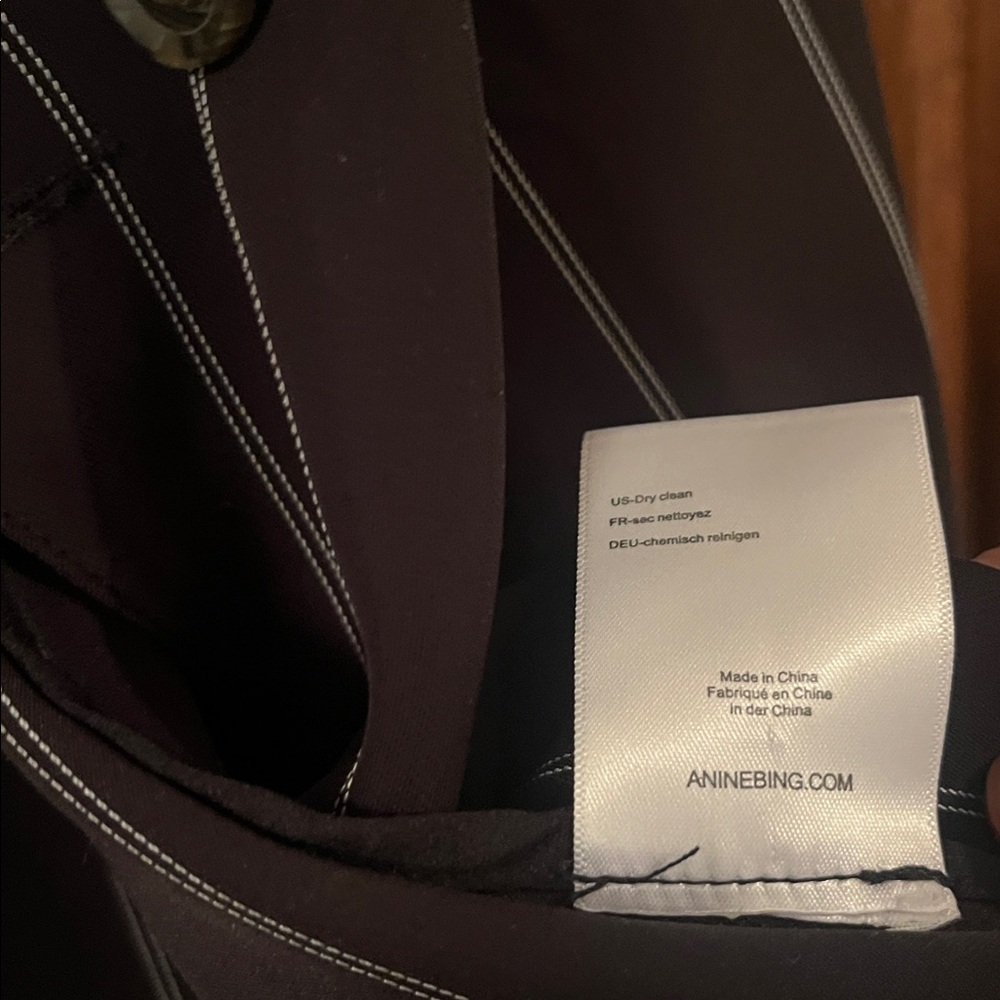 Anine Bing Pinstripe Blazer - Picture 11 of 11